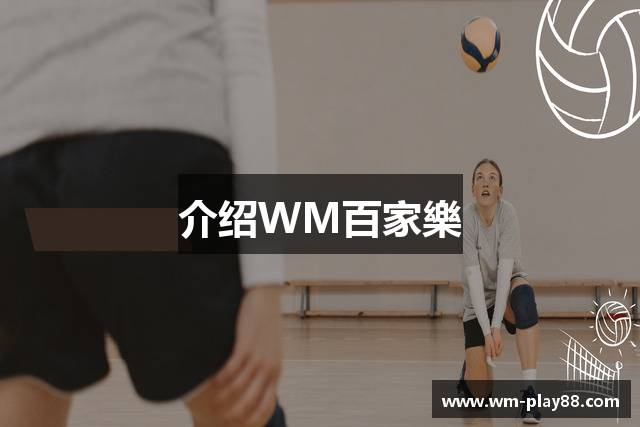 介绍WM百家樂